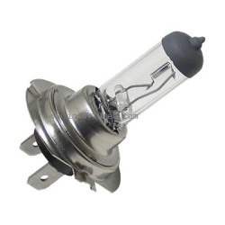 Żarówka H7, 12 V, 55W, PX26d Żarówka H7