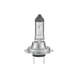 Żarówka H7, 12 V, 55 W Żarówka 12 V