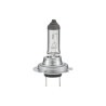 Żarówka H7, 12 V, 55 W Żarówka 12 V