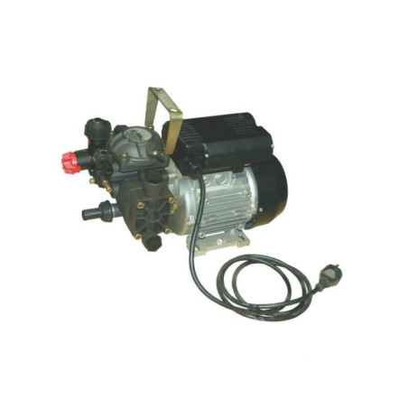 AR 202 VRI EM 230 V BlueFlex 16312AR Annovi Reverberi 16312AR