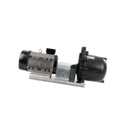 Pompa magnum L, 3" + siln.el. 58161 REHWALD-Apollo 4260604820039