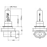 Żarówka Bulb 12 V H9 Żarówki KRAMP