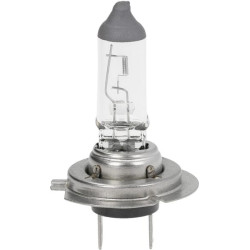 Żarówka 12V 55W H7 Żarówki KRAMP