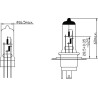 Żarówka 12V 60/55W H4 P43t Żarówki KRAMP
