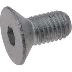 Comer 8.1.3.01864 śruba, M10x20 mm kl. 1