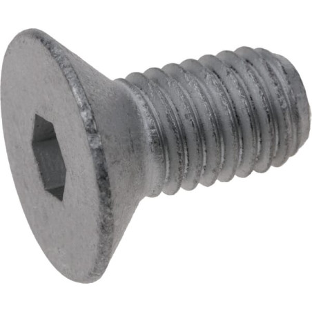 Comer 8.1.3.01864 śruba, M10x20 mm kl. 1
