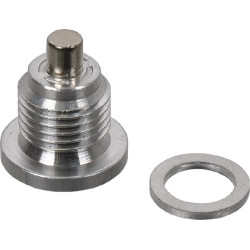 Korek magnetyczny przekładni Comer. 1/4" BSP