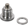 Korek magnetyczny przekładni Comer. 1/4" BSP