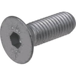 Comer 8.1.3.01865 śruba, M10x30 mm kl. 1