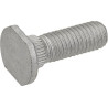 Comer 0.404.7132.00 śruba, M10x30 mm