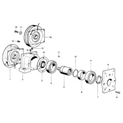 Sprzęgło elektromagnetyczne 12V 14Kpm Borelli EMKGR1212VHD