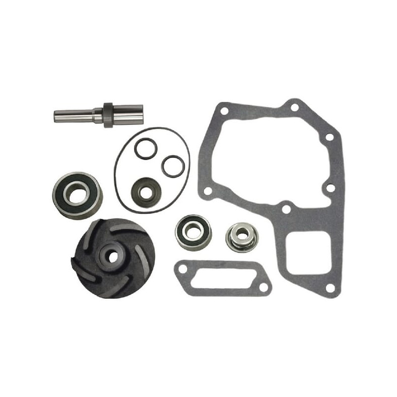 RE69846 John Deere Zestaw naprawczy pompy wody Vapormatic 5035776739378