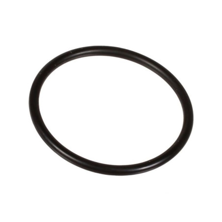 Oring 2,62 x 36,14 803208302 Bertolini 803208302