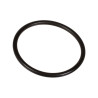 Oring 2,62 x 36,14 803208302 Bertolini 803208302