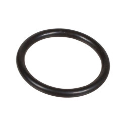 Oring 2,62 x 22,22 803200002 Bertolini 803200002
