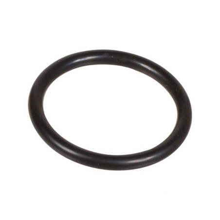 Oring 2,62 x 22,22 803200002 Bertolini 803200002
