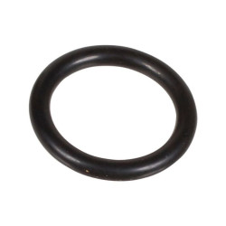 Oring 2,62 x 15,08 803180002 Bertolini 803180002