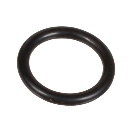 Oring 2,62 x 15,08 803180002 Bertolini 803180002