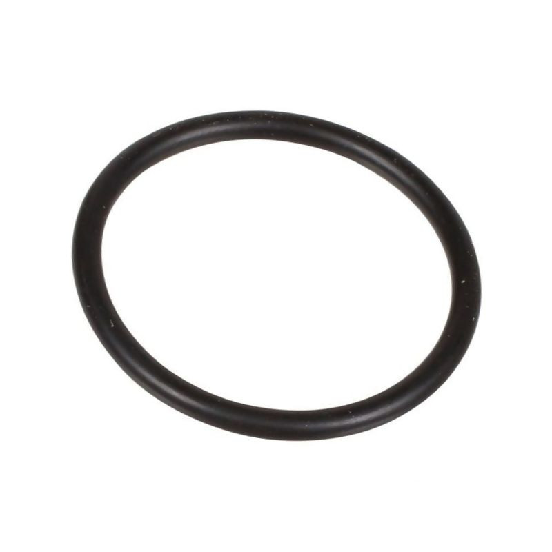 Oring 2,62 x 29,82 803207002 Bertolini 803207002