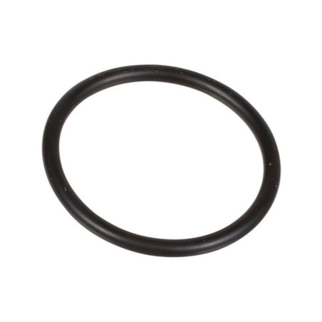 Oring 2,62 x 29,82 803207002 Bertolini 803207002
