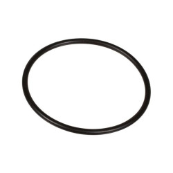 Oring 2,62 x 50,47 803209802 Bertolini 803209802