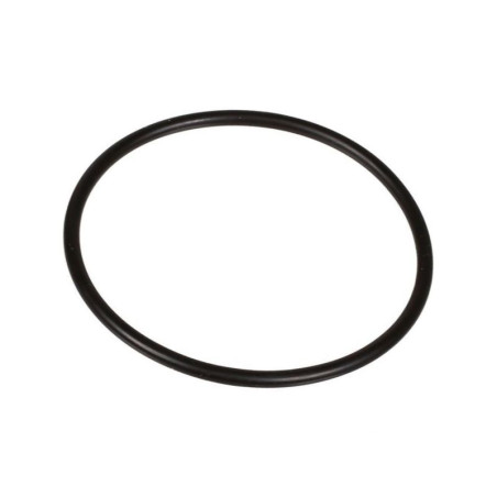 Oring 2,62 x 50,47 803209802 Bertolini 803209802