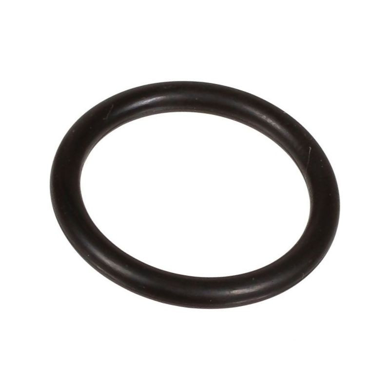 Oring 2,62 x 18,72 803189002 Bertolini 803189002
