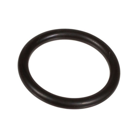Oring 2,62 x 18,72 803189002 Bertolini 803189002