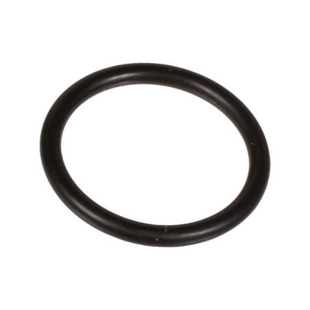 Oring 3 x 25 803219002 Bertolini 803219002