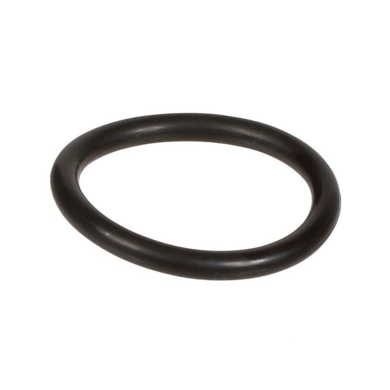 Oring 2,62 x 20,24 803195002 Bertolini 803195002
