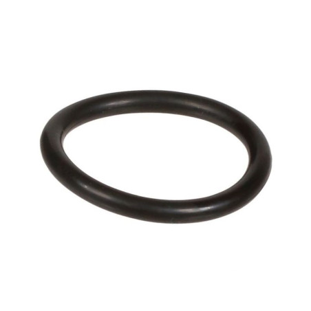 Oring 2,62 x 20,24 803195002 Bertolini 803195002