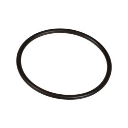 Oring 2,62 x 44,12 803209402 Bertolini 803209402