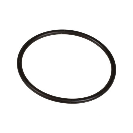 Oring 2,62 x 44,12 803209402 Bertolini 803209402