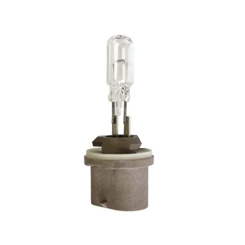 Żarówka PG13 12V 50W