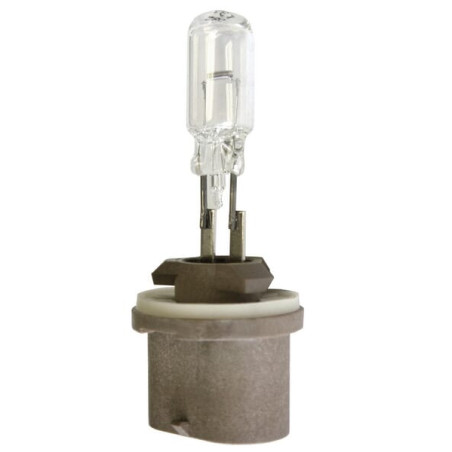 Żarówka PG13 12V 50W