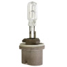 Żarówka PG13 12V 50W
