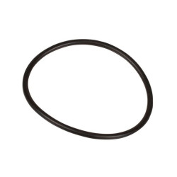 Oring 1,78 x 35,65 803080102 Bertolini 803080102