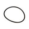 Oring 1,78 x 35,65 803080102 Bertolini 803080102