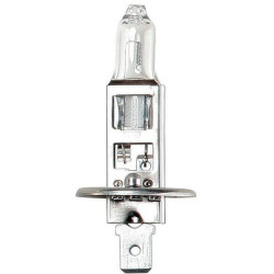 Żarówka P14,5s 12V H1 55W