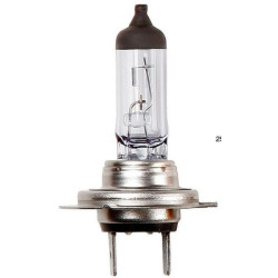 Żarówka PX26d H7 12V 55W