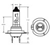 Żarówka PX26d H7 12V 55W