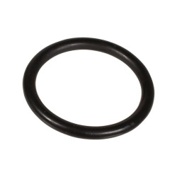 Oring 5 x 40 803320602 Bertolini 803320602