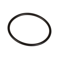 Oring 2,62 x 40,95 803209102 Bertolini 803209102