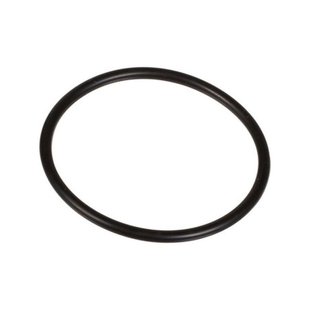 Oring 2,62 x 40,95 803209102 Bertolini 803209102