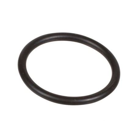 Oring 2,62 x 26,81 803204502 Bertolini 803204502