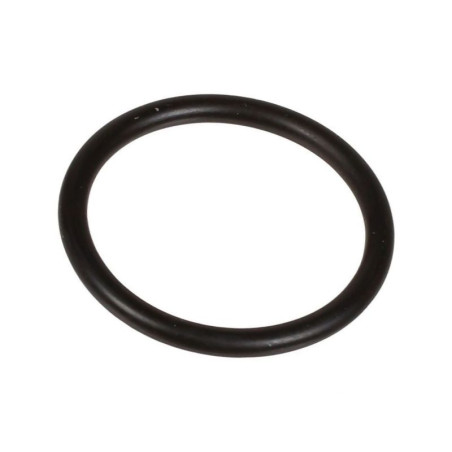 Oring 2,62 x 23,81 803204002 Bertolini 803204002