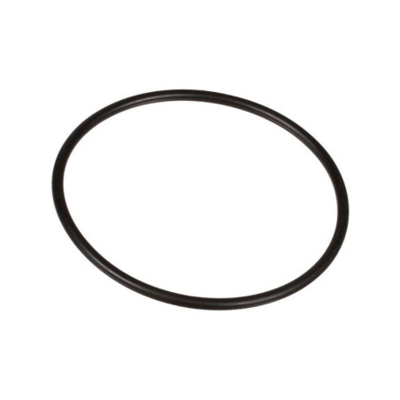 Oring 2,62 x 56,82 803210002 Bertolini 803210002