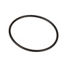 Oring 2,62 x 56,82 803210002 Bertolini 803210002