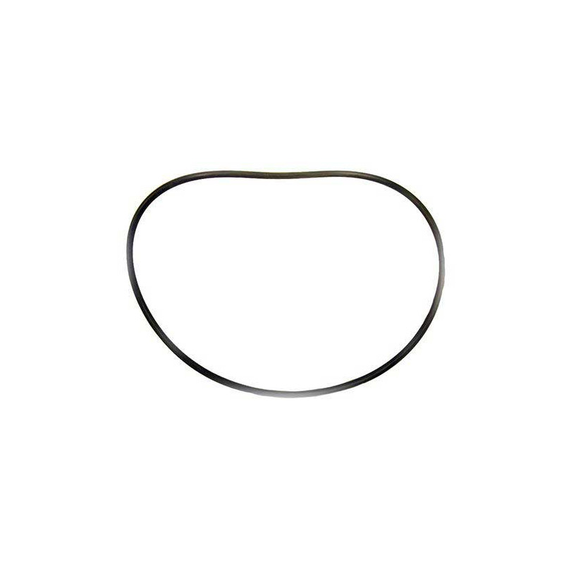 O-ring