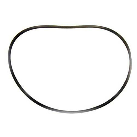 O-ring